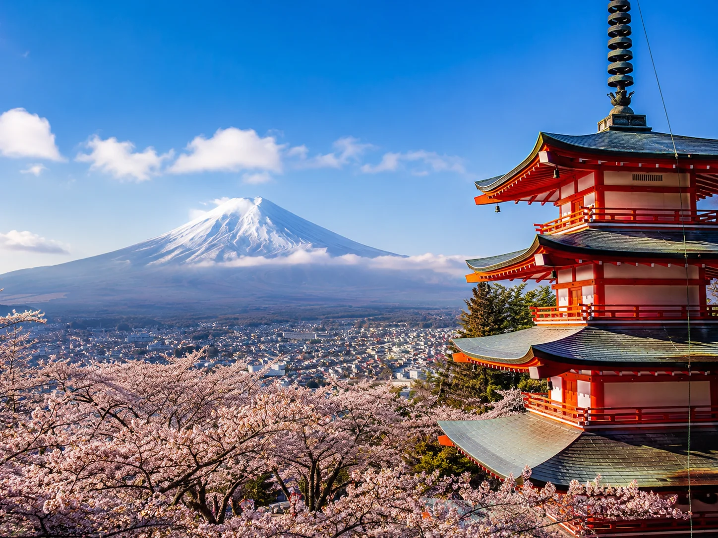 日本